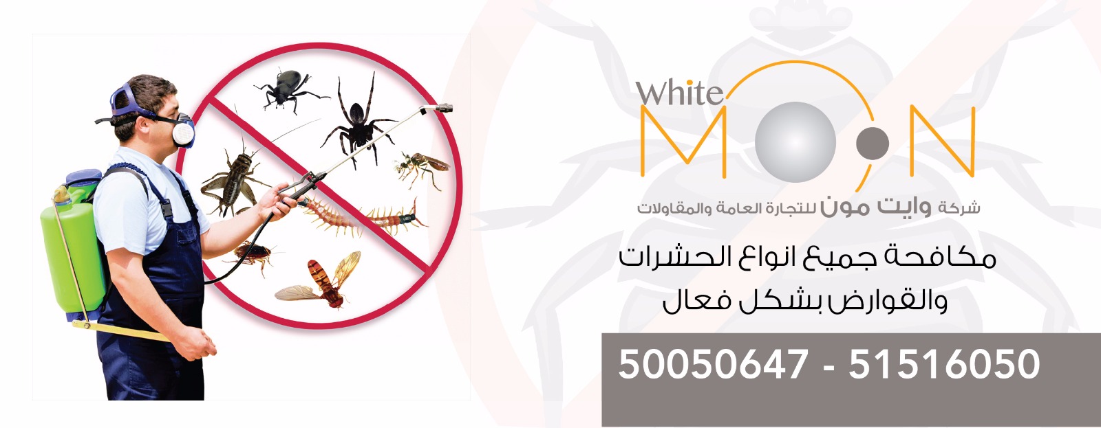 شركة مكافحة حشرات وقوارض الكويت